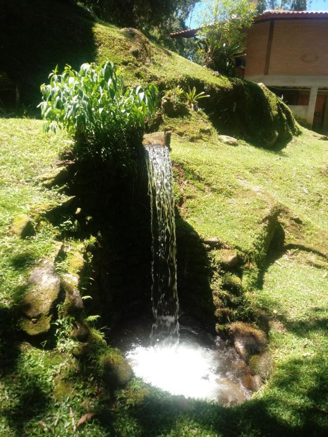 Chale Truta Da Floresta Вісконді-ді-Мауа Екстер'єр фото