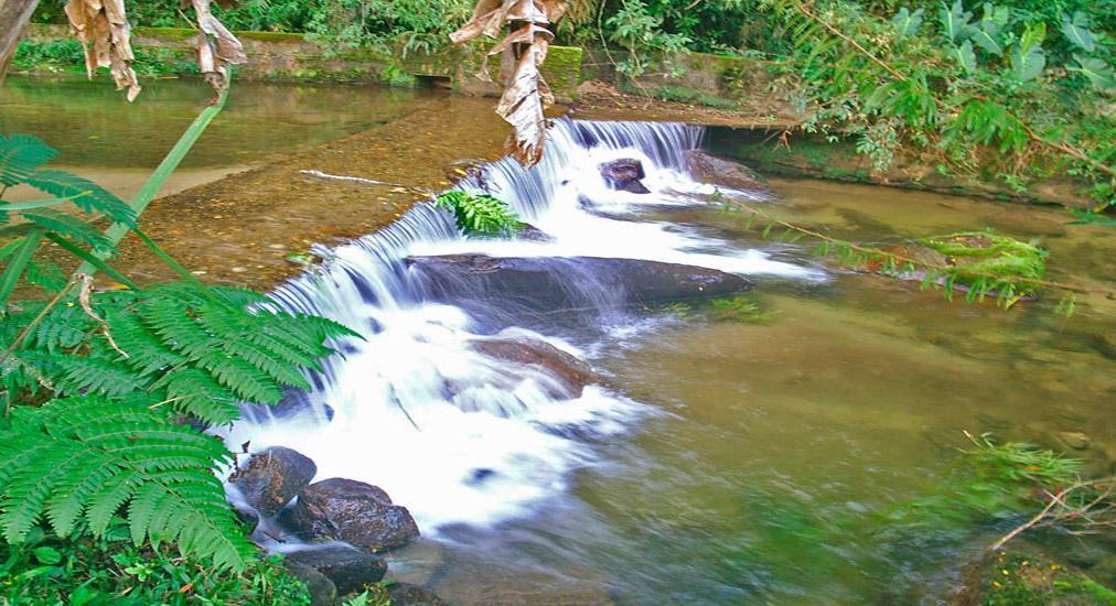 Chale Truta Da Floresta Вісконді-ді-Мауа Екстер'єр фото